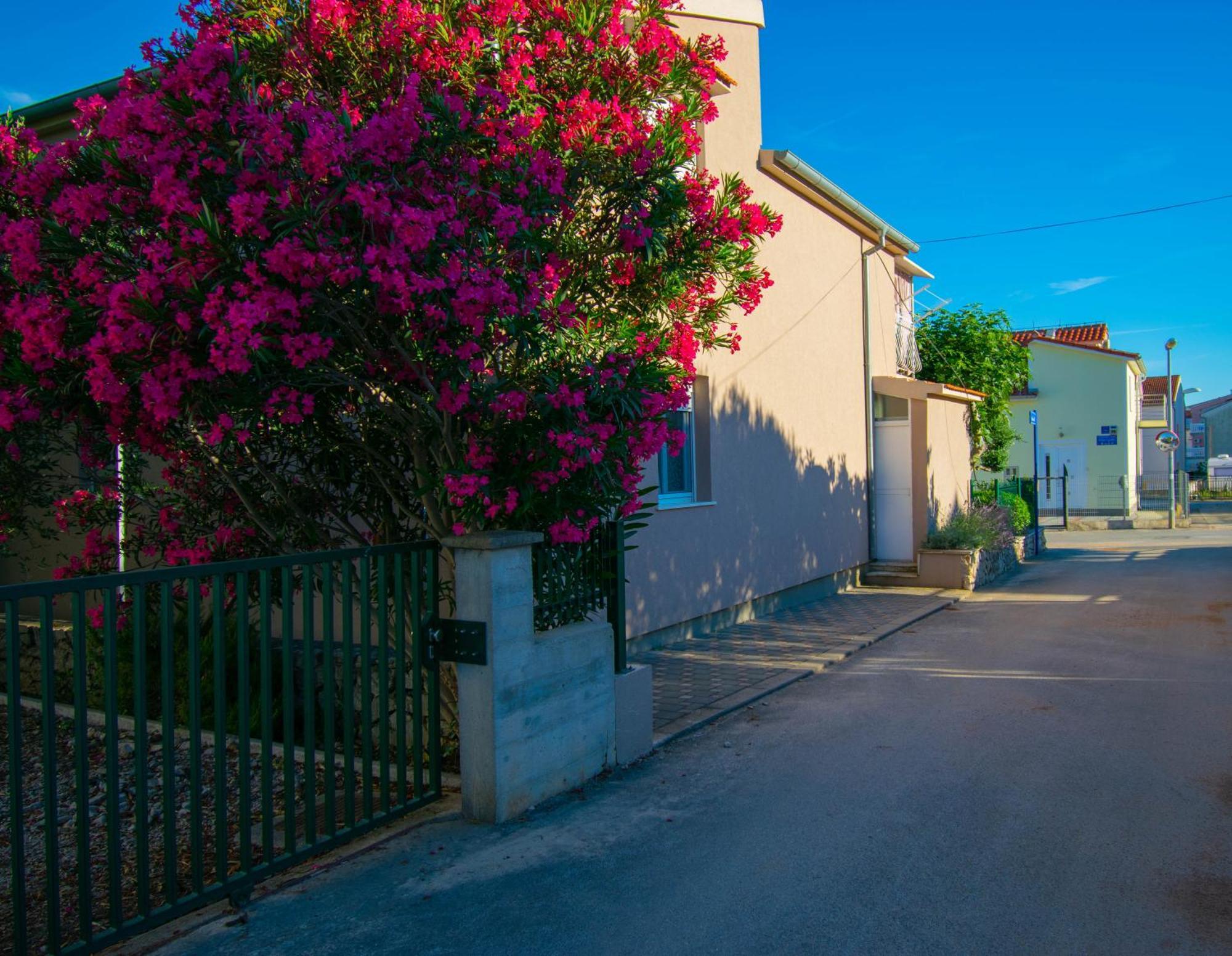 Apartments Anita Frane Vodice Esterno foto